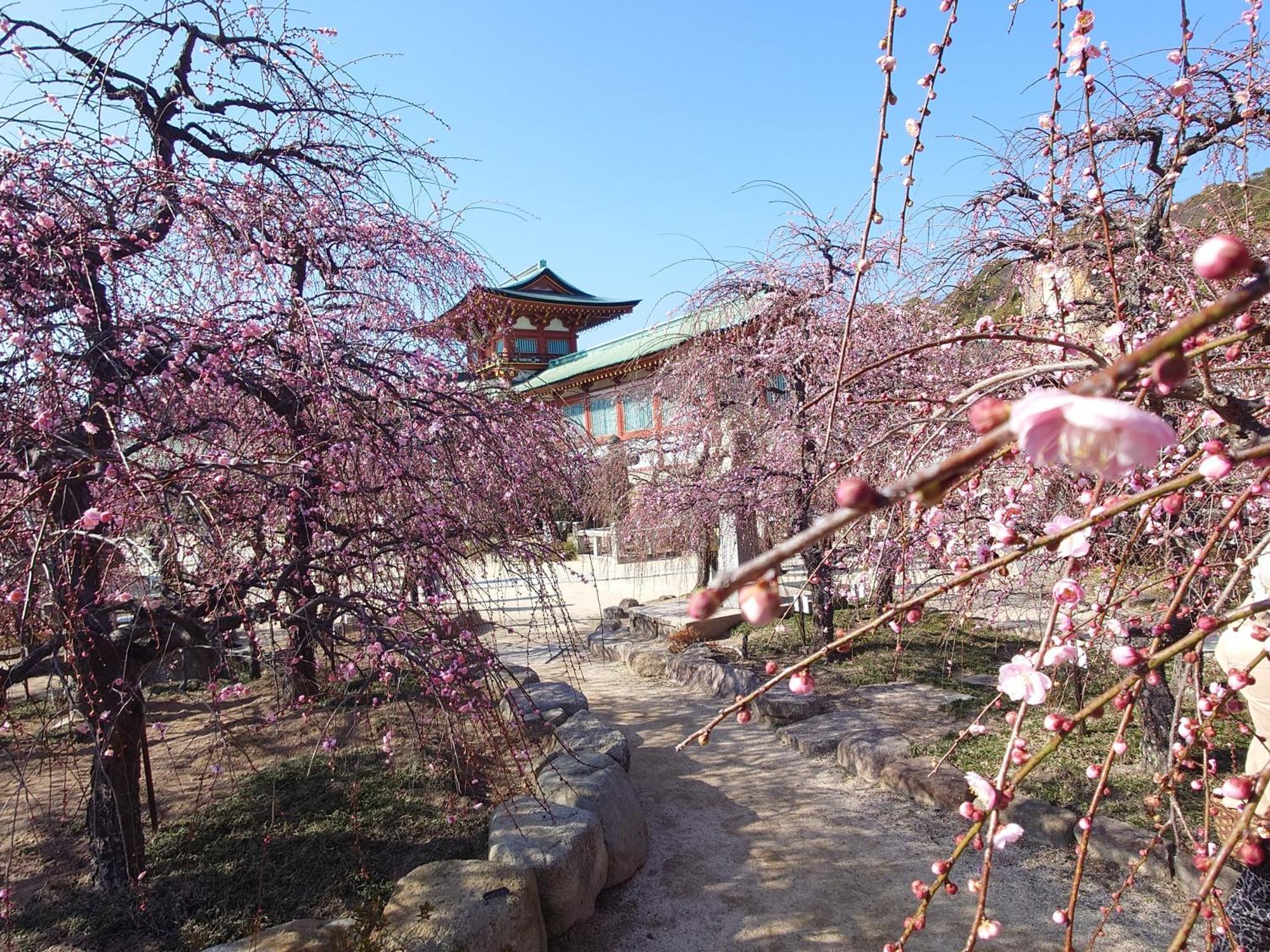 Apa Hotel Yamaguchi Hofu Exterior photo